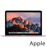 Ремонт Apple MacBook Mid в Курске